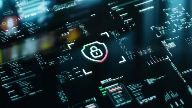 牟定县软件开发公司